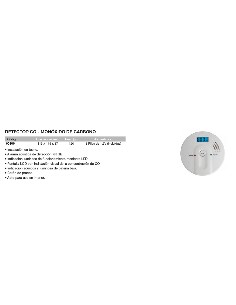Detector CO - Mon 2
