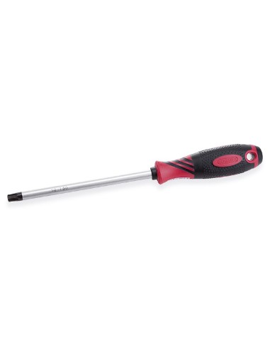 DEST. ANTI DESLIZANTE S2 TORX T10X80
